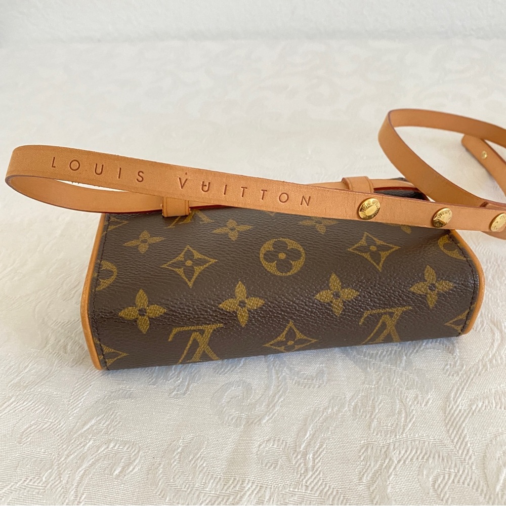 Louis Vuitton Pochette Florentine Belt Bag - Picture 15 of 16